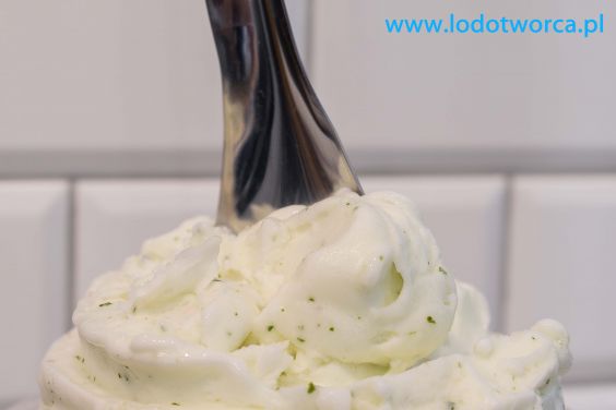 Wyjątkowe lody Rzeszów