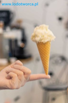 Wyjątkowe lody Rzeszów