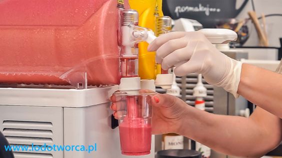 Lody Rzeszów najszlachetniejsza lodziarnia