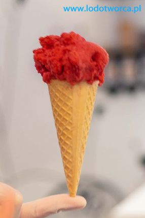 Lody Rzeszów najznakomitsza lodziarnia